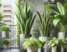 Air-Purifying Balcony Plants for a Healthier Home