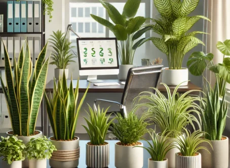 Air-Purifying Plants for Office Desks