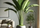 Banana Plant Decoration Ideas for a Stylish, Lush Home