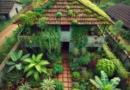 Best Outdoor Plants for Farmhouses in Indian Weather