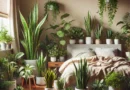 Do Indoor Plants in the Bedroom Cause Suffocation