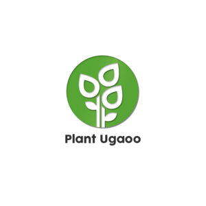 Plant Ugaoo