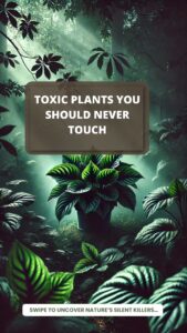 Deadly Beauties Toxic Plants to Avoid