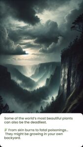 Nature’s Dangerous Side