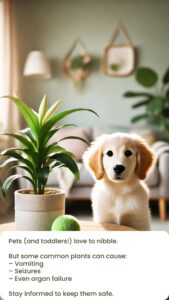 Pets (and toddlers!) love to nibble