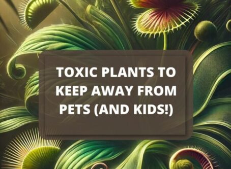 Toxic Plants to Keep Away From Pets (and Kids!)