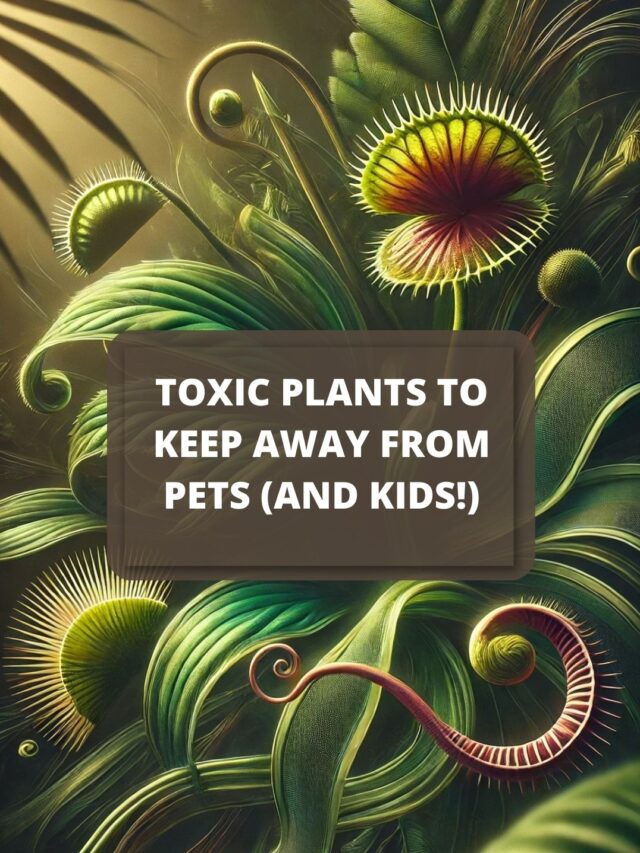 Toxic Plants Every Pet Owner Should Avoid