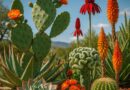 10 Shocking Drought-Resistant Plants That Thrive on Neglect
