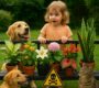 10 Toxic Plants You Should Never Keep Around Pets or Kids
