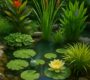 Aquatic Plants You Should Add to Your Natural Water Features