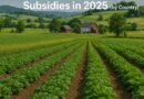 Best Farming Grants and Subsidies in 2025 (by Country)