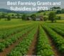 Best Farming Grants and Subsidies in 2025 (by Country)