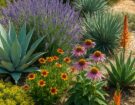Drought Resistant Plants Every Gardener Should Know