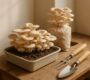 How to Grow Mushrooms at Home (Beginner’s Guide)
