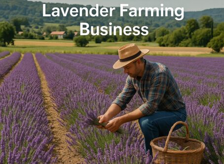 How to Start a Lavender Farming Business