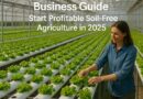 Hydroponic Farming Business Guide: Start Profitable Soil-Free Agriculture in 2025