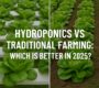 Hydroponics vs Traditional Farming: Which Is Better in 2025?
