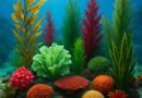 Oceanic Gardens: Plant Types in the Ocean