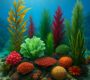 Oceanic Gardens: Plant Types in the Ocean