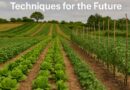Sustainable Agriculture Techniques for the Future