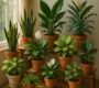 Top 12 Plants That Clean Indoor Air Better Than Machines