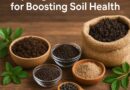 Top Organic Fertilizers for Boosting Soil Health