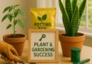 Unlock Your Green Thumb: The Ultimate Guide to Plant and Gardening Success