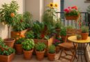 Urban Edible Landscapes: Beauty That Feeds
