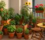 Urban Edible Landscapes: Beauty That Feeds