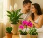 Bedroom Plants That Improve Intimacy and Emotional Bond