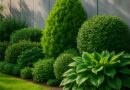 Best Plants for Noise Reduction