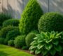 Best Plants for Noise Reduction