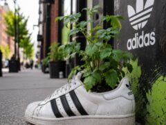 Corporate Guerrilla Gardening How Adidas & Brands Use It in Marketing