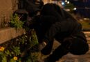 Late-Night Guerrilla Gardening How Secret Plantings Are Organised
