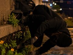 Late-Night Guerrilla Gardening How Secret Plantings Are Organised