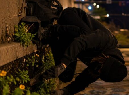 Late-Night Guerrilla Gardening How Secret Plantings Are Organised