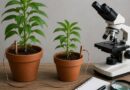 Why Scientists Say Electroculture Gardening Has No Real Evidence