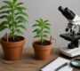 Why Scientists Say Electroculture Gardening Has No Real Evidence